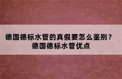 德国德标水管的真假要怎么鉴别？ 德国德标水管优点